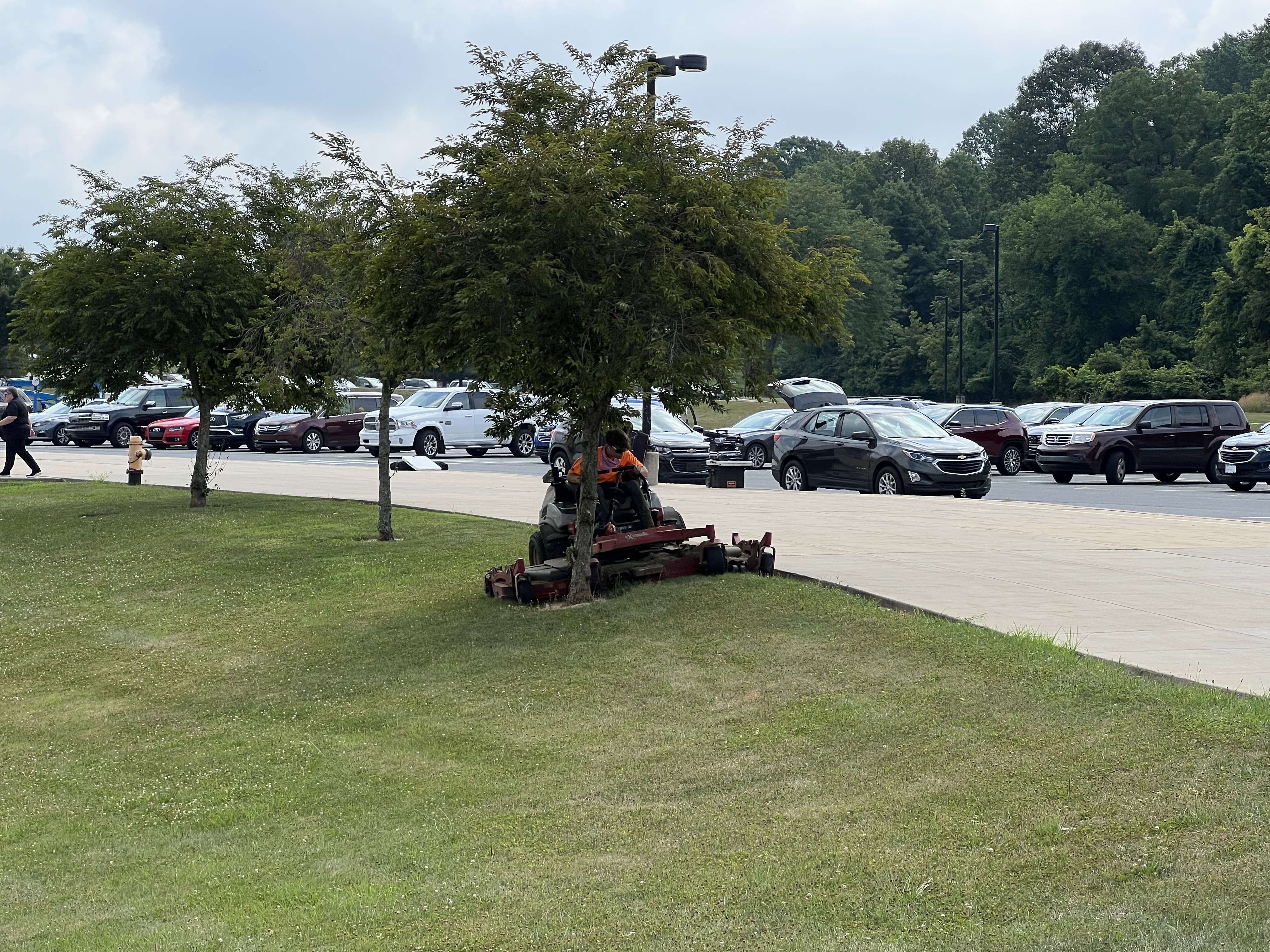 Applewood tree service and lawn care project photo 8