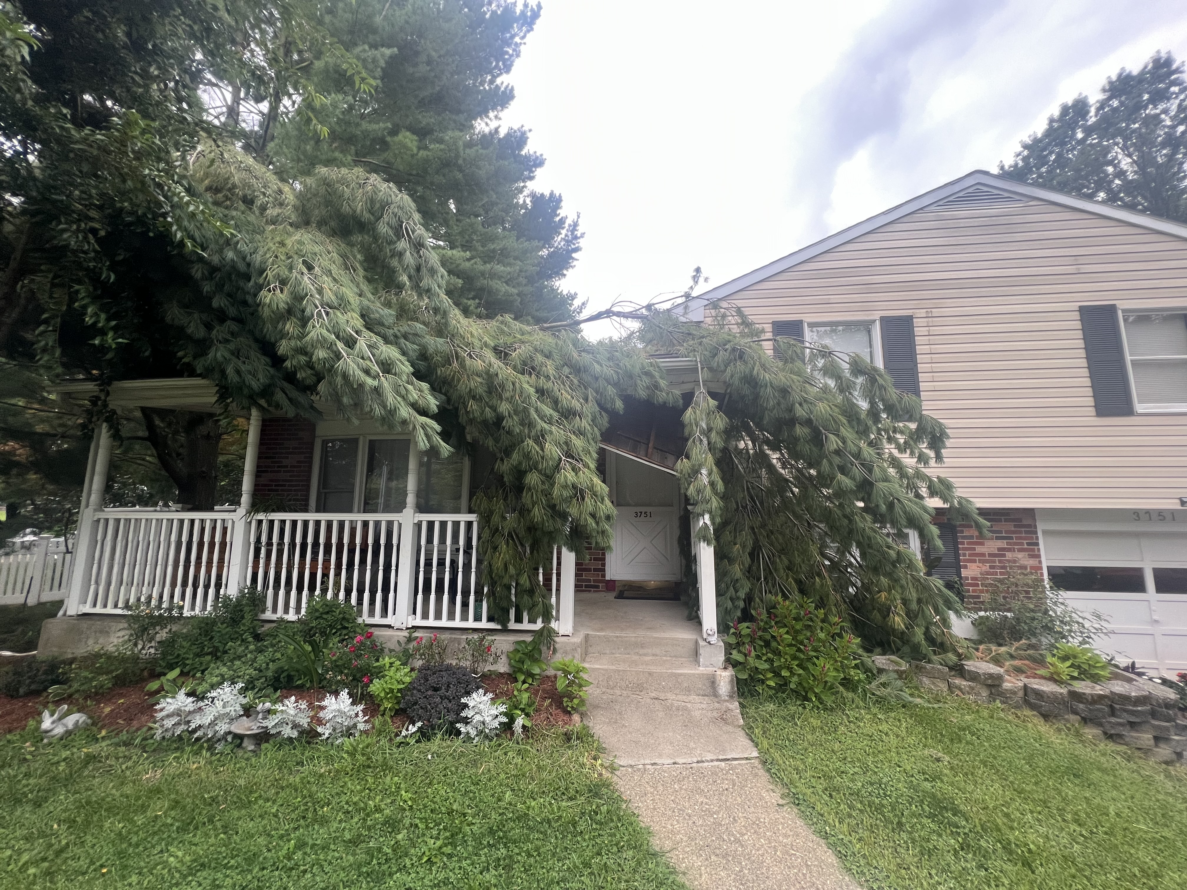 Applewood tree service and lawn care project photo 9