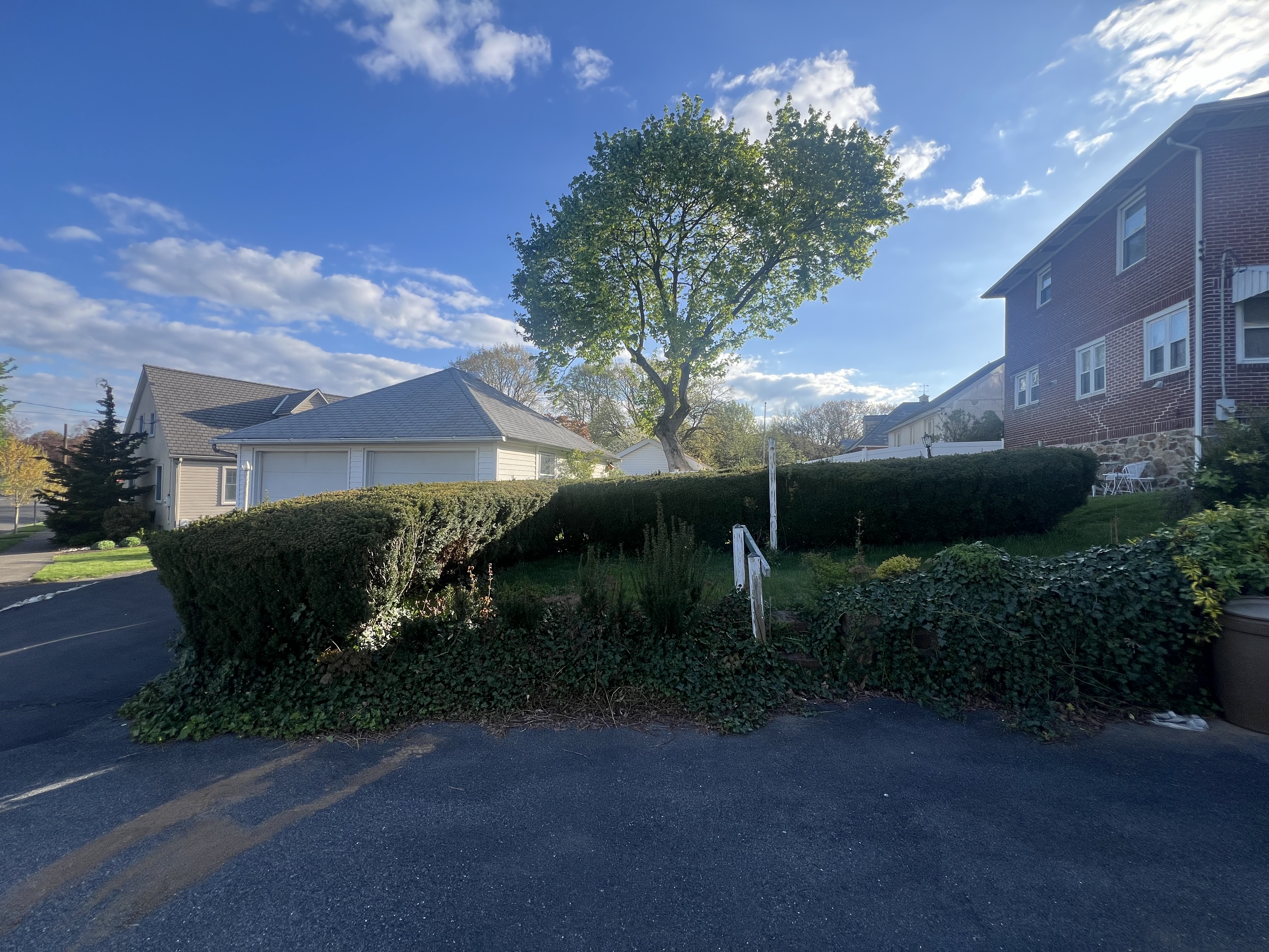 Applewood tree service and lawn care project photo 11