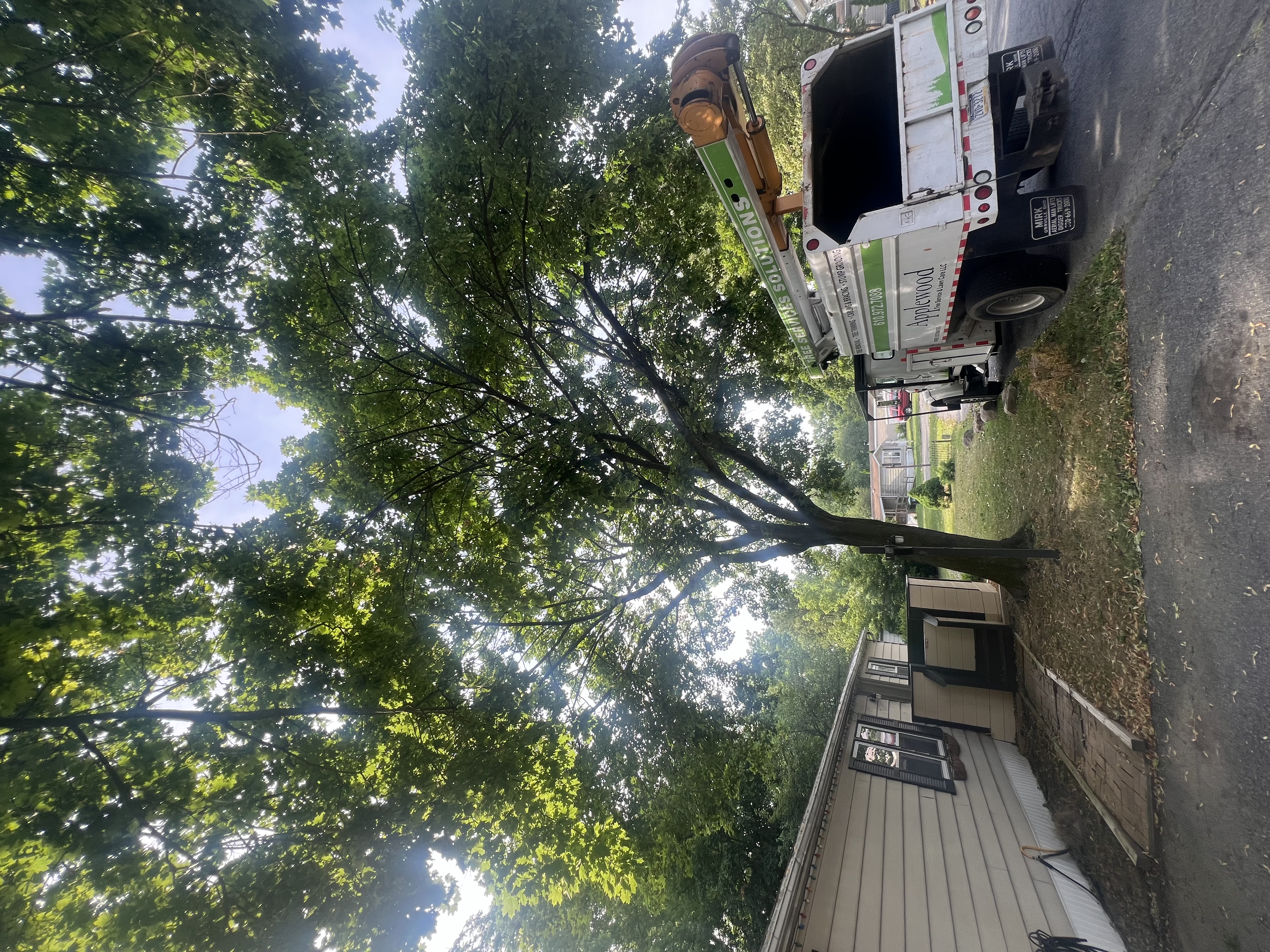 AppleWood project showcase 5