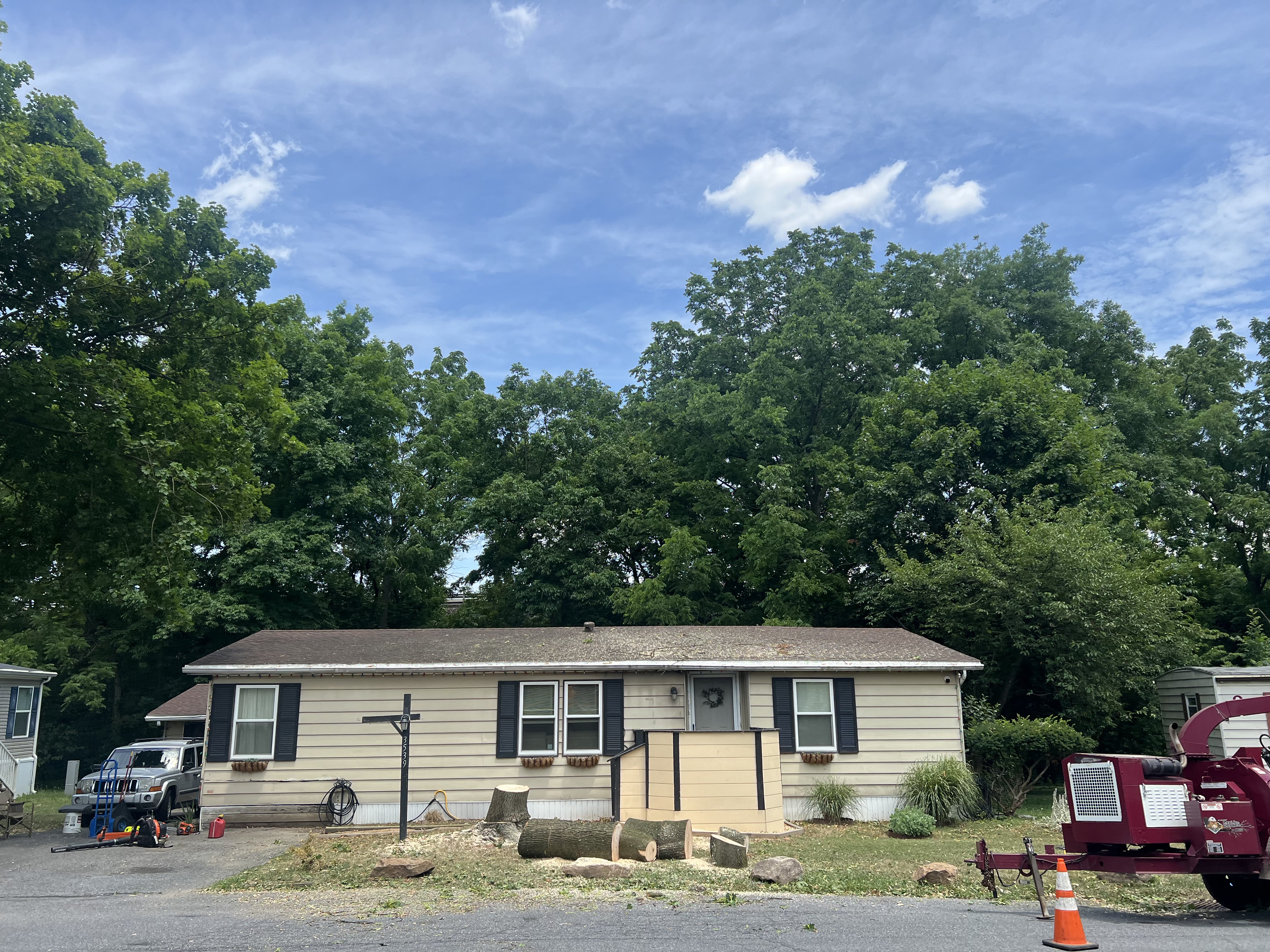 AppleWood tree service and lawn care project photo 7