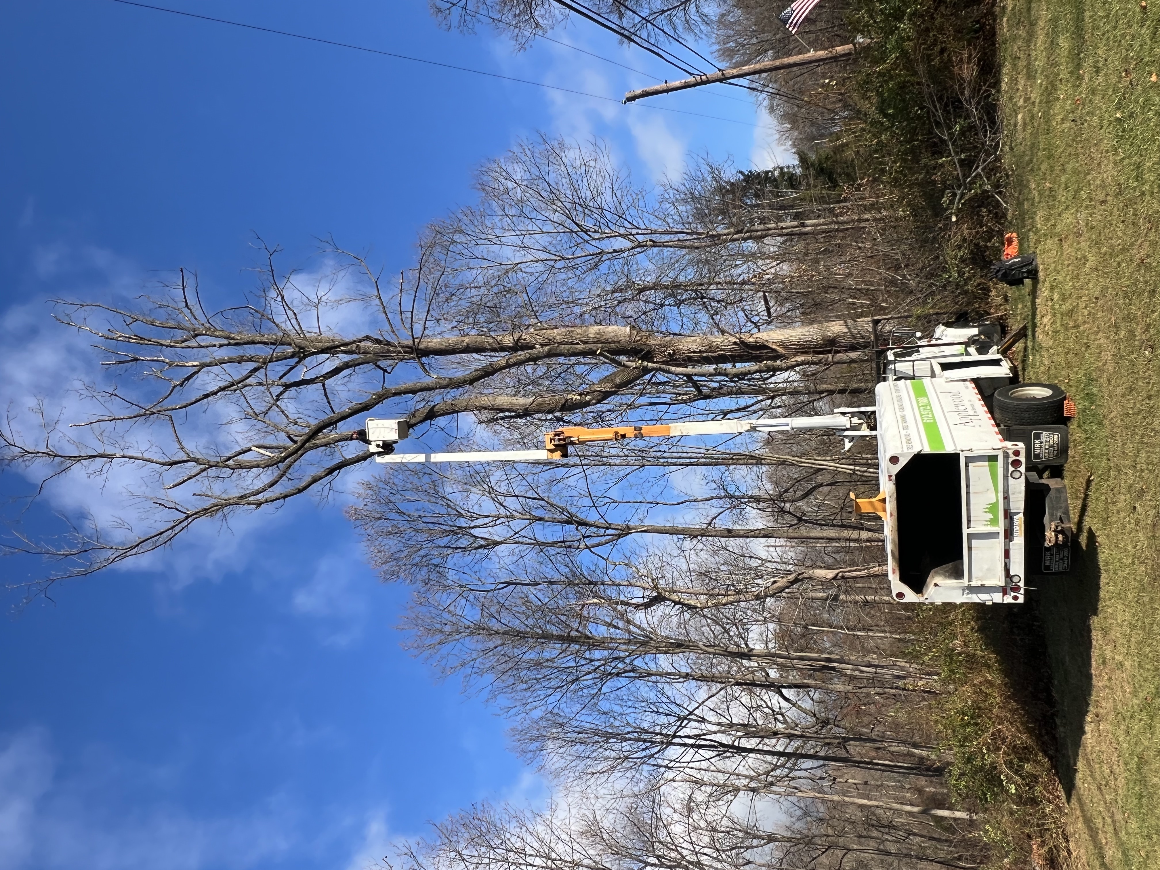 AppleWood project showcase 1