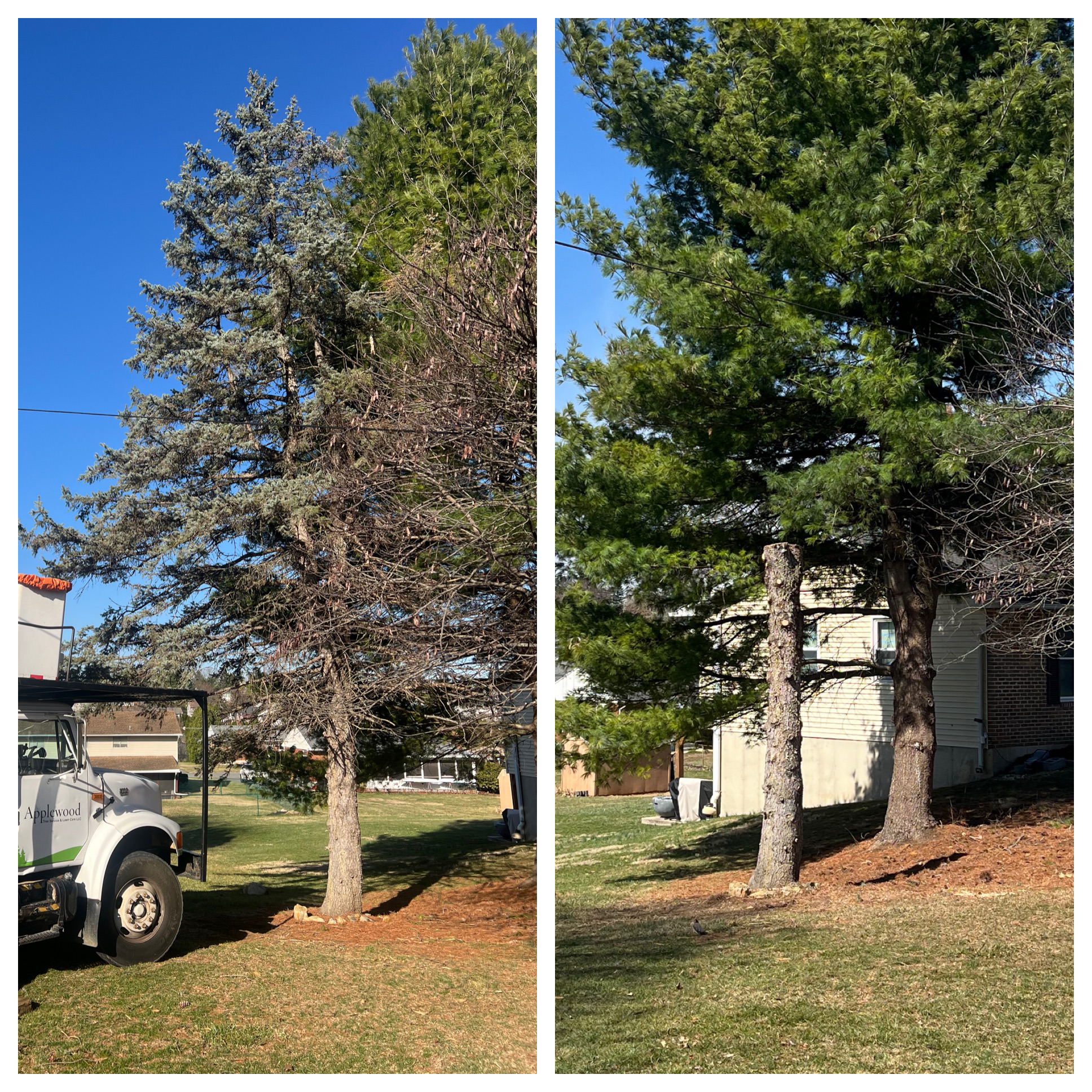 AppleWood project showcase 2