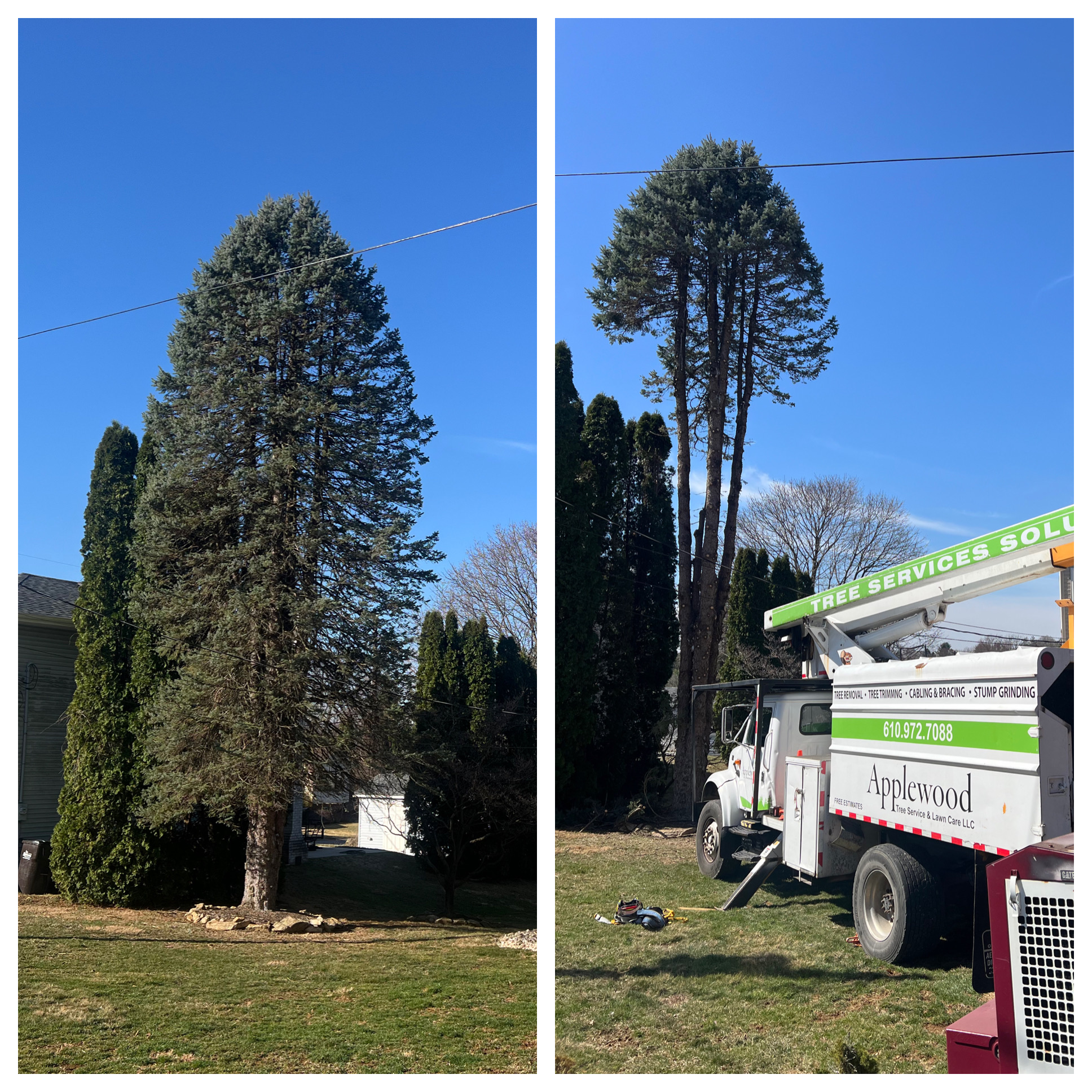 AppleWood project showcase 3