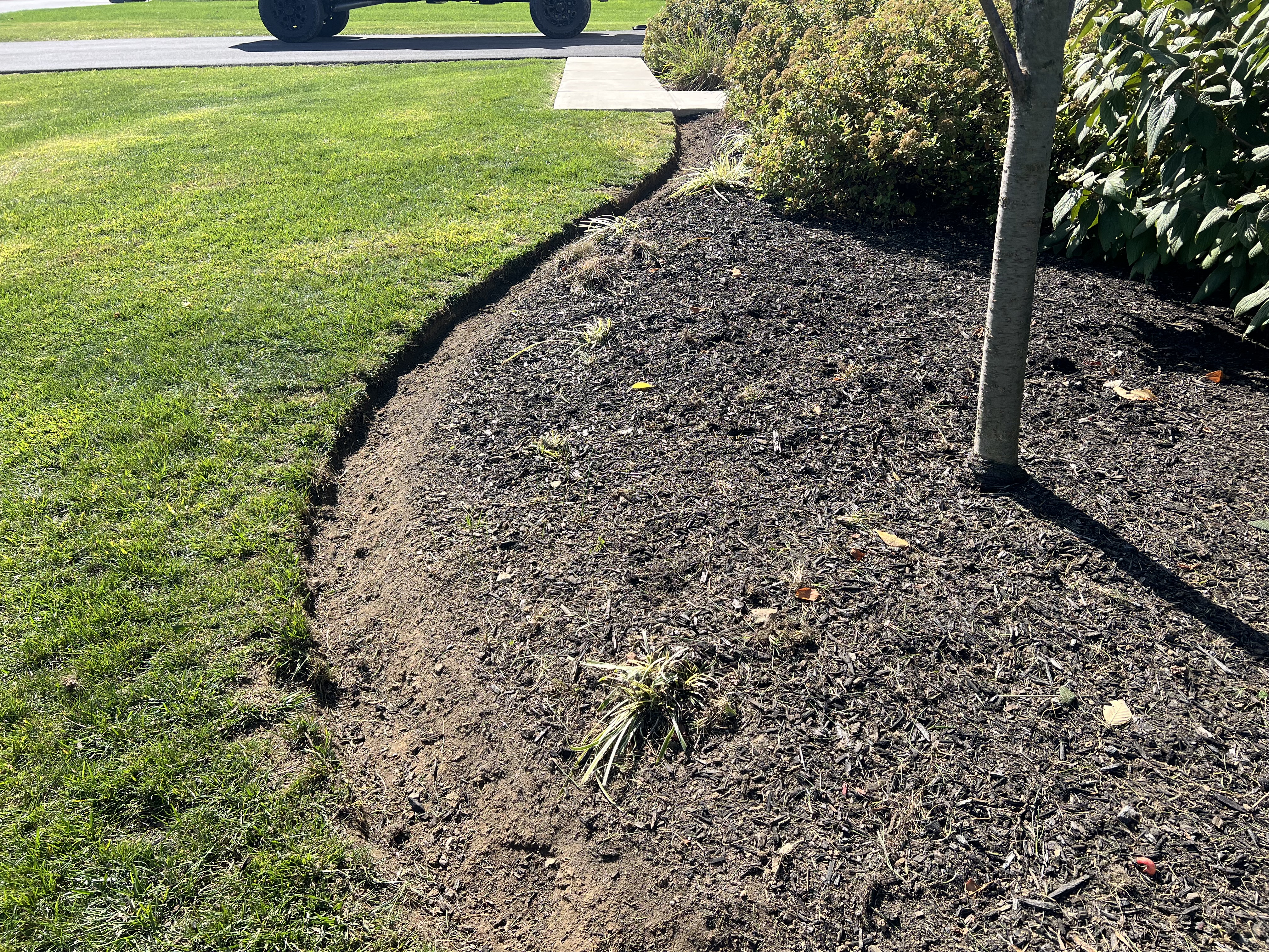 AppleWood project showcase 4