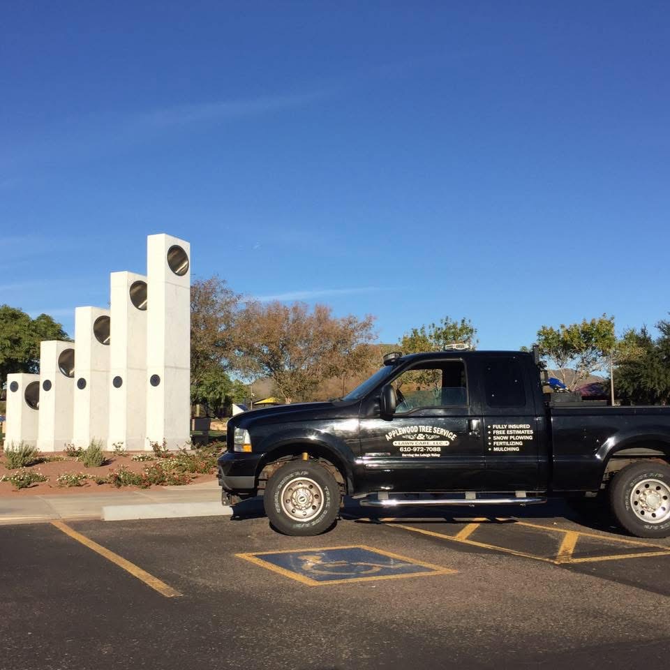 Applewood tree service and lawn care project photo 19